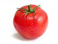tomato7.jpg