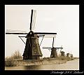 Kinderdijk2007Holland_01.jpg