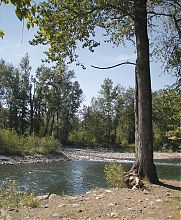 Нажмите на изображение для увеличения
Название: lecreka2.jpg
Просмотров: 19
Размер: 211.8 Кб
ID: 5923