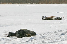 Очень хочется поймать....jpg