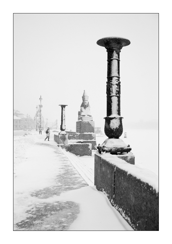 DSC_0794_800