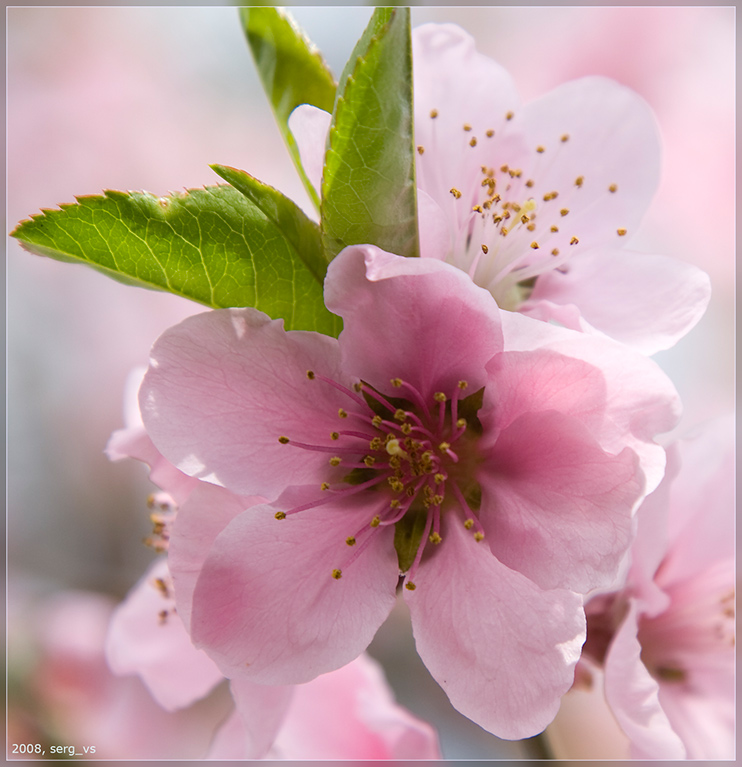 2008-04-18-006_lowres
