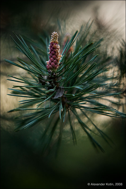 6I5P9683-Edit