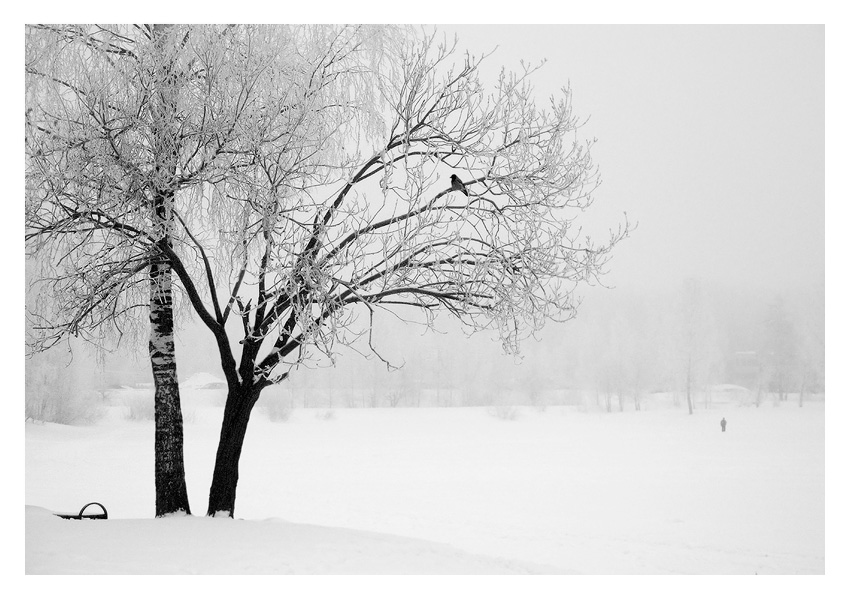 DSC_5755_800b