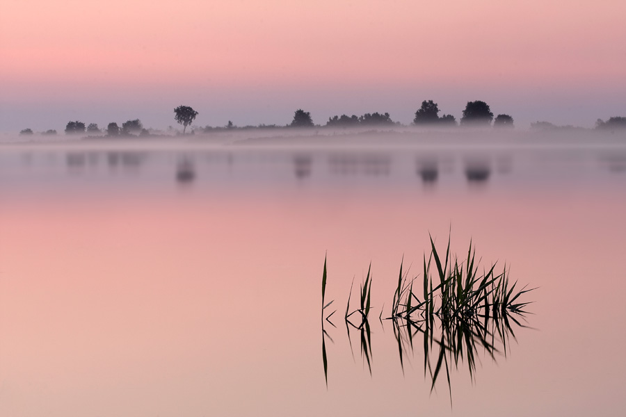 MG_3302-900
