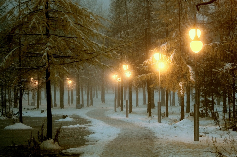 MG_507012121