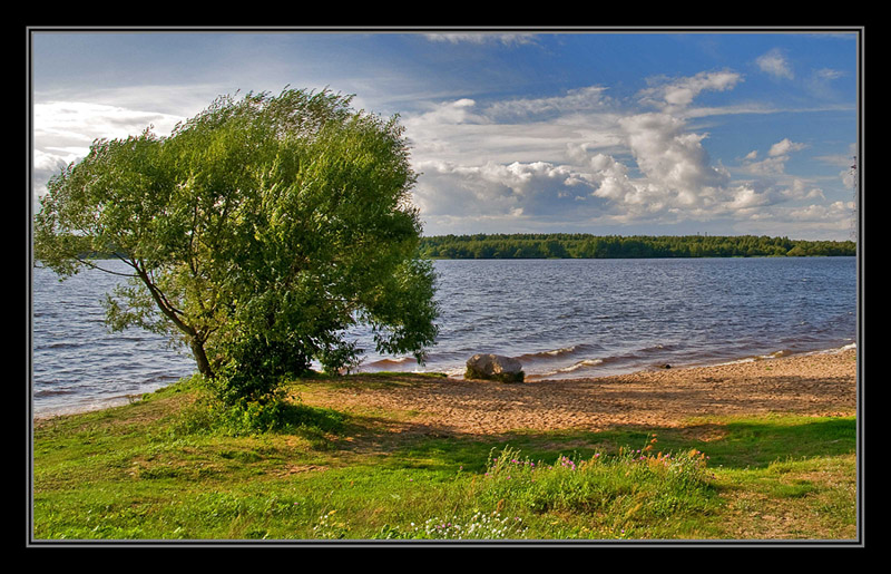 MG_9181-Edit_250