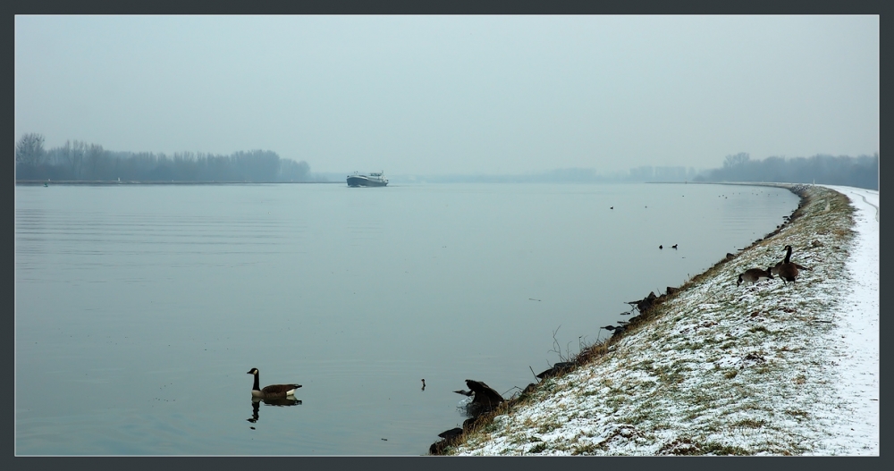 Январь на Рейне.