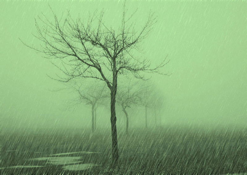 spring_time_2