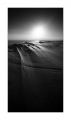 dune1.jpg
