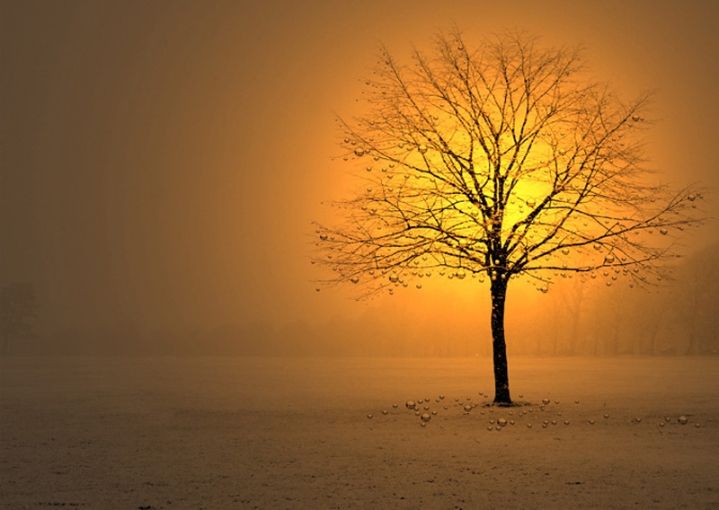 winter_time_1