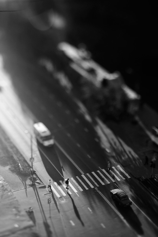 MG_7629
