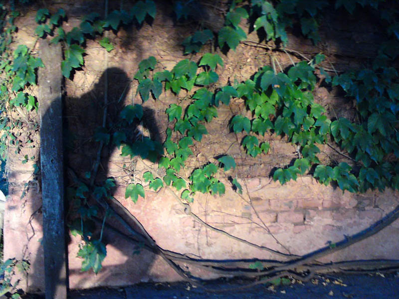Rodins_Thinkers_Shadow
